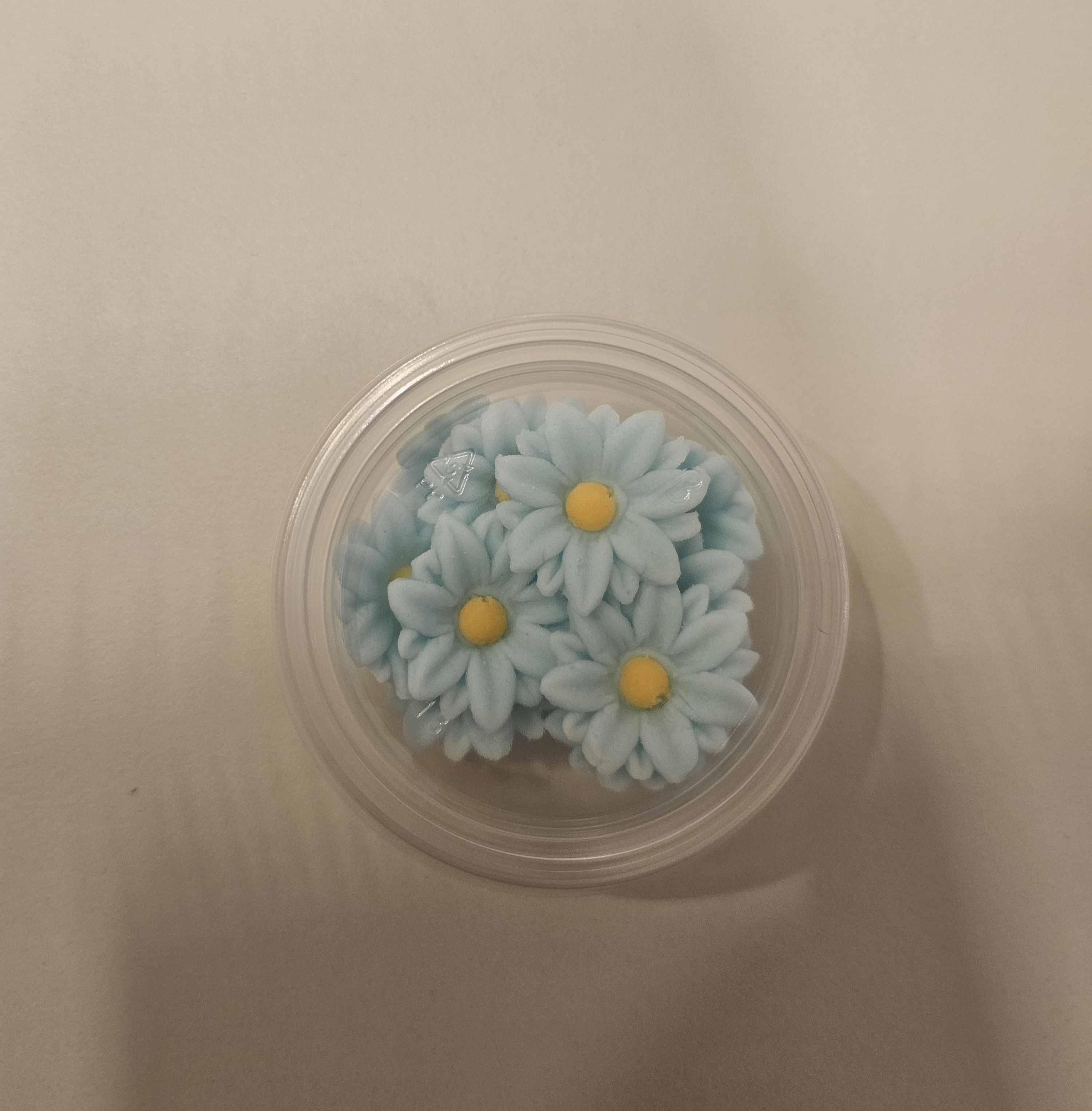 Gėlė Šafranas mėlyna spalva Rose