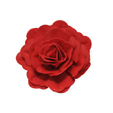 Gėlė Kiniška rožė maža