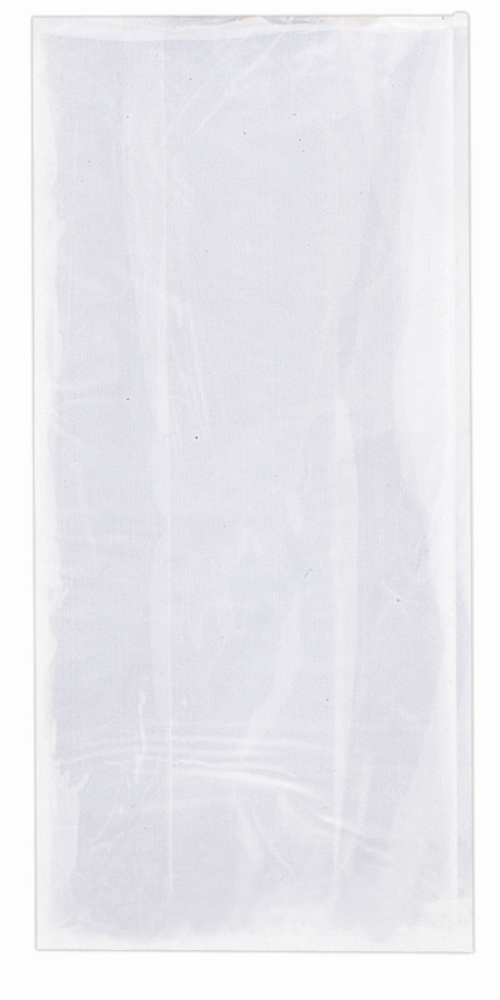 Skaidrūs maišeliai 12x35cm (100vnt)