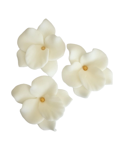 Dekoracija gėlė Orchidėja balta spalva iš modeliavimo masės (5vnt)
