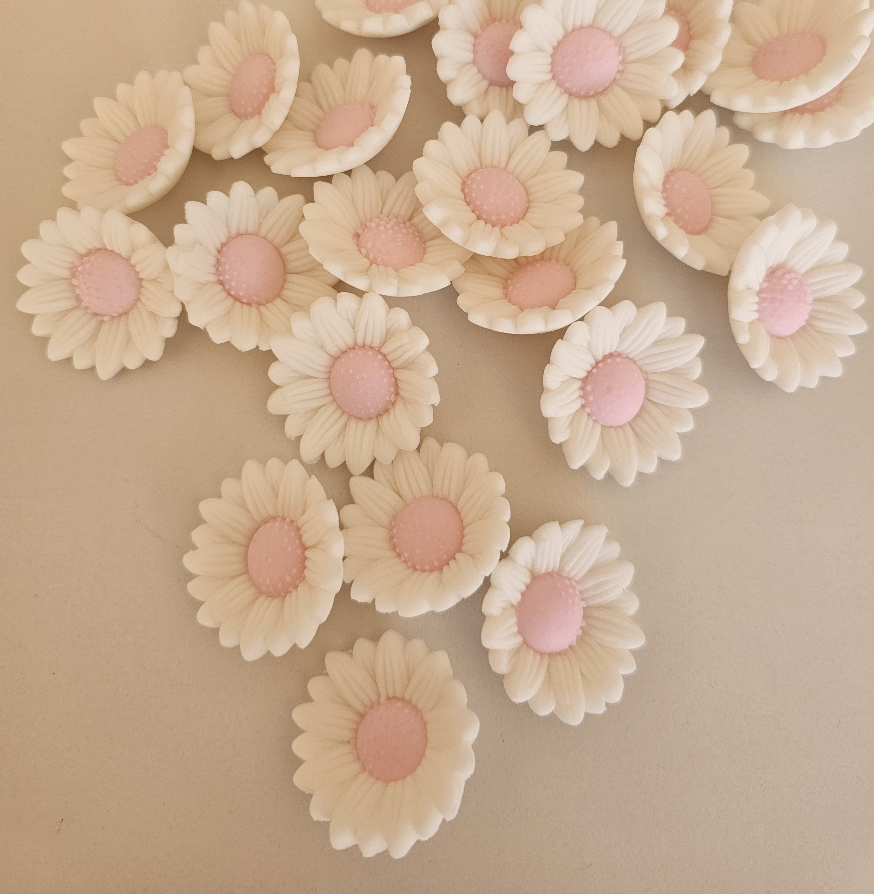 Gėlė Ramunėlė balta/rožinė cukrinė masė Rose