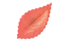 Dekoracija Lapelis vaflinis 