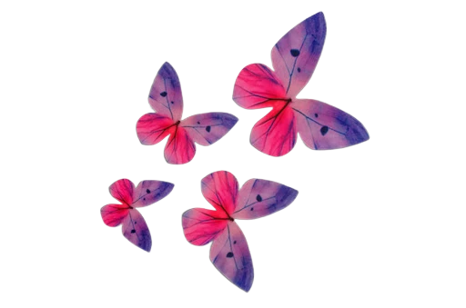 Dekoracija vafliniai drugeliai