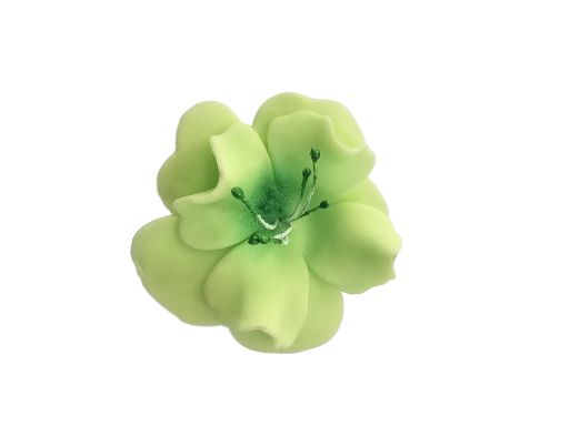 Dekoracija gėlė Magnolija žaliosios citrinos spalva iš modeliavimo masės (5vnt)