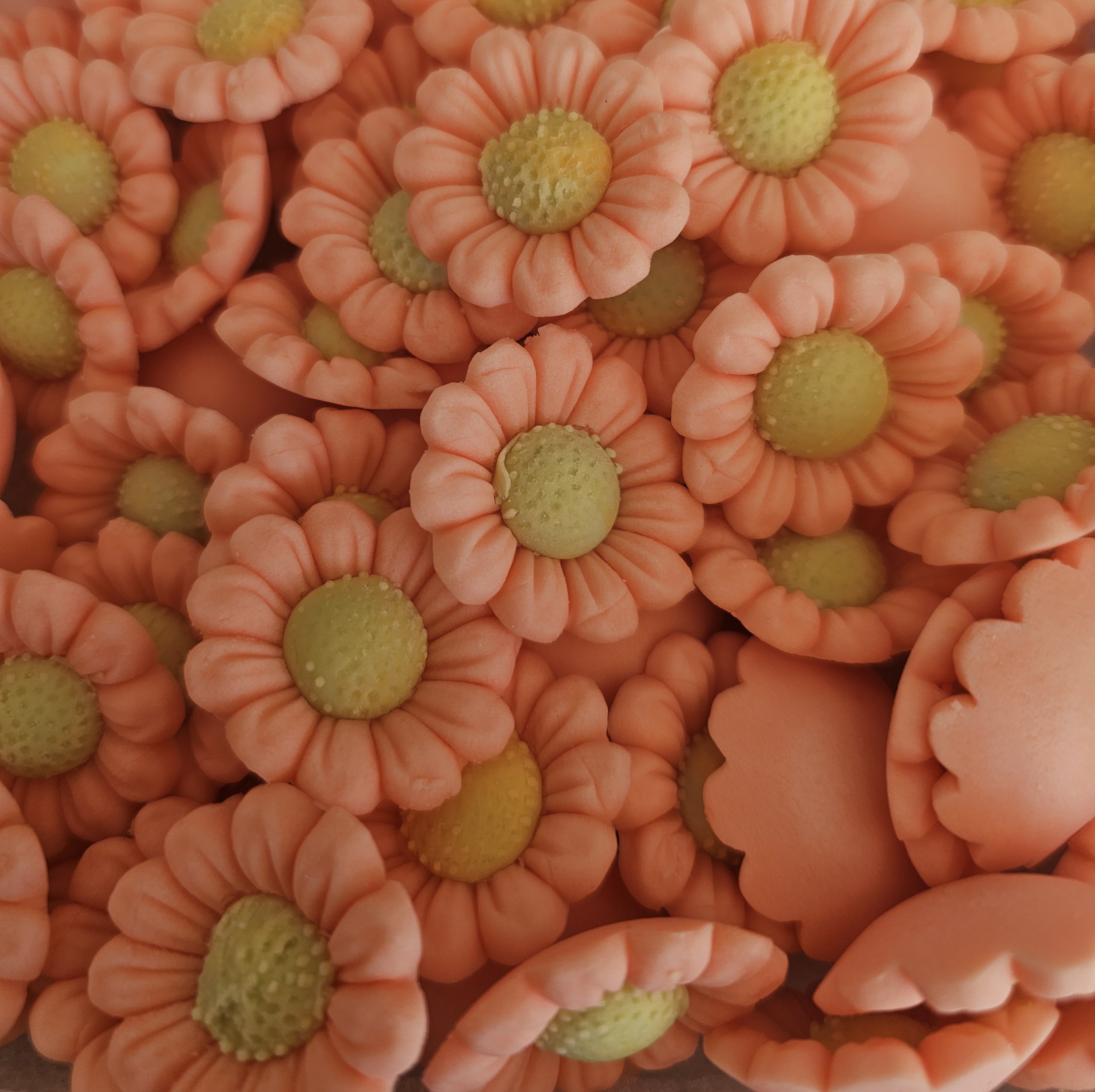 Gėlė Ramunėlė cukrinė masė Rose