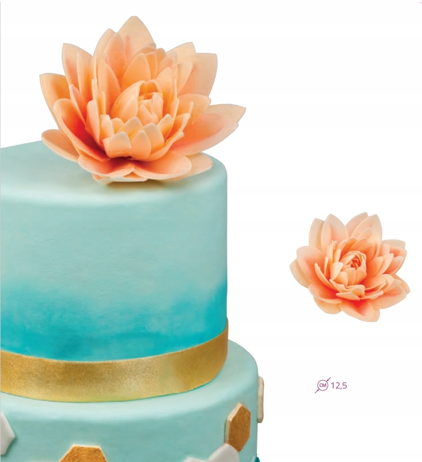 Gėlė Dalia pudros spalva  Rose