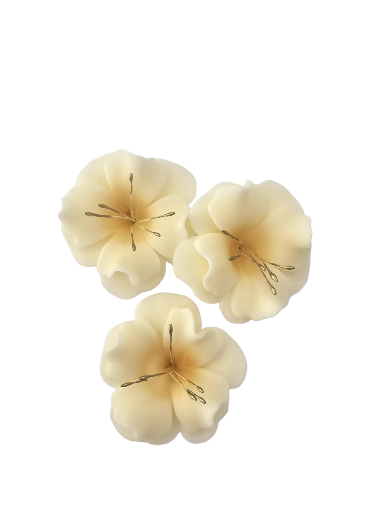 Dekoracija gėlė Magnolija Ecru ( smėlio) spalva iš modeliavimo masės (5vnt)
