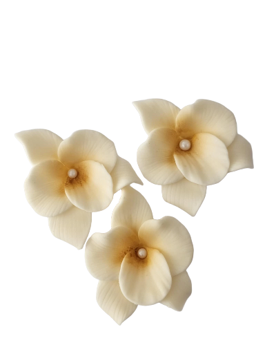 Dekoracija gėlė Orchidėja Ecru ( smėlio) spalva iš modeliavimo masės (5vnt)