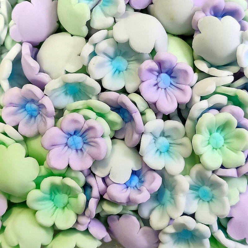 Gėlė Adonis pastelinių spalvų mixsas Rose