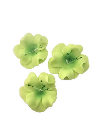 Dekoracija gėlė Magnolija žaliosios citrinos spalva iš modeliavimo masės (5vnt)