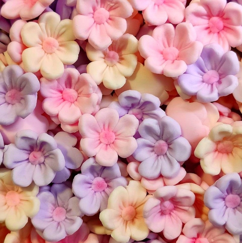 Gėlė Adonis pastelinių spalvų mixsas Rose