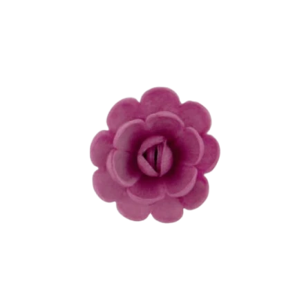 Gėlė Angliška rožė 