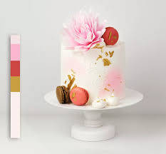 Gėlė Astra švelni rožinė Rose