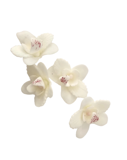 Dekoracija gėlė Orchidėja balta spalva iš modeliavimo masės (5vnt)