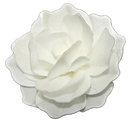 Gėlė vaflinė Kinietiška rožė spalva balta (15vnt.pakuotėje)