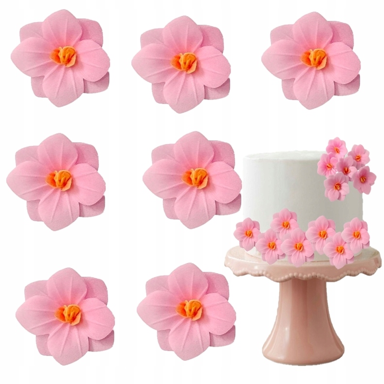 Gėlė Hortenzija vaflinė šviesi rožinė spalva Rose