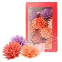 Gėlė vaflinė Astra spalvų mix (18vnt. pakuotėje)