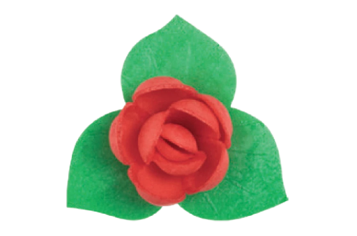 Gėlė Angliška rožė su lapeliais