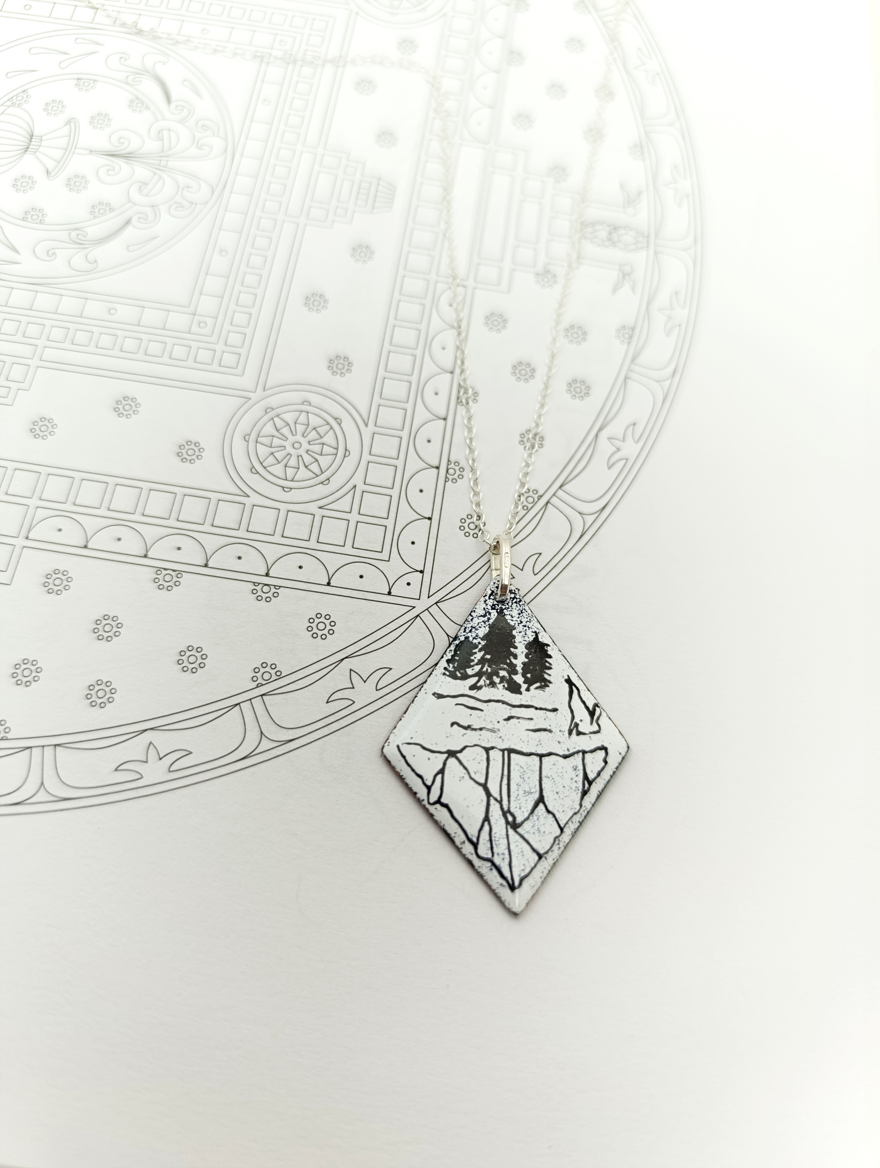 Nature noire et blanche