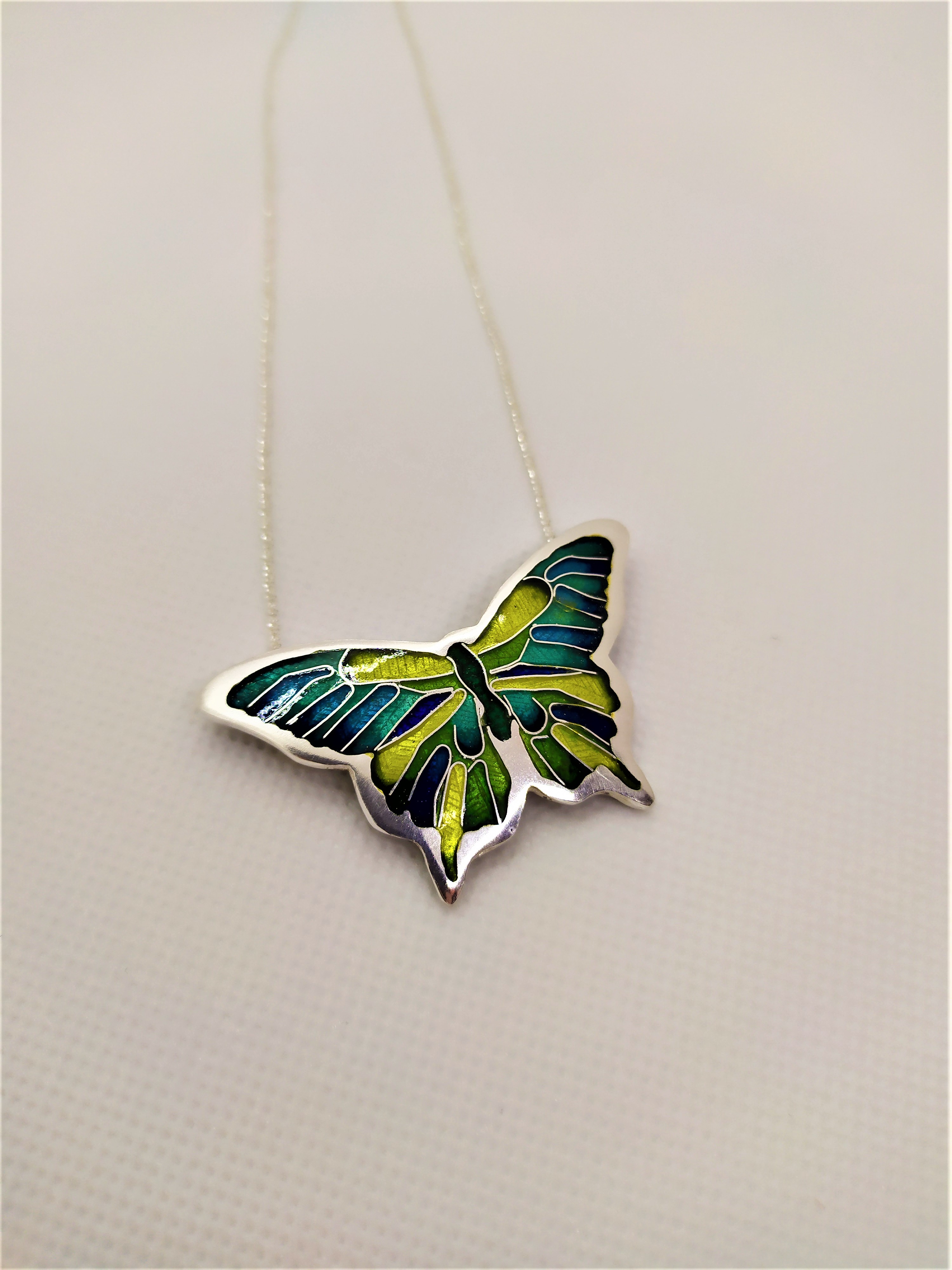Papillon éclatant