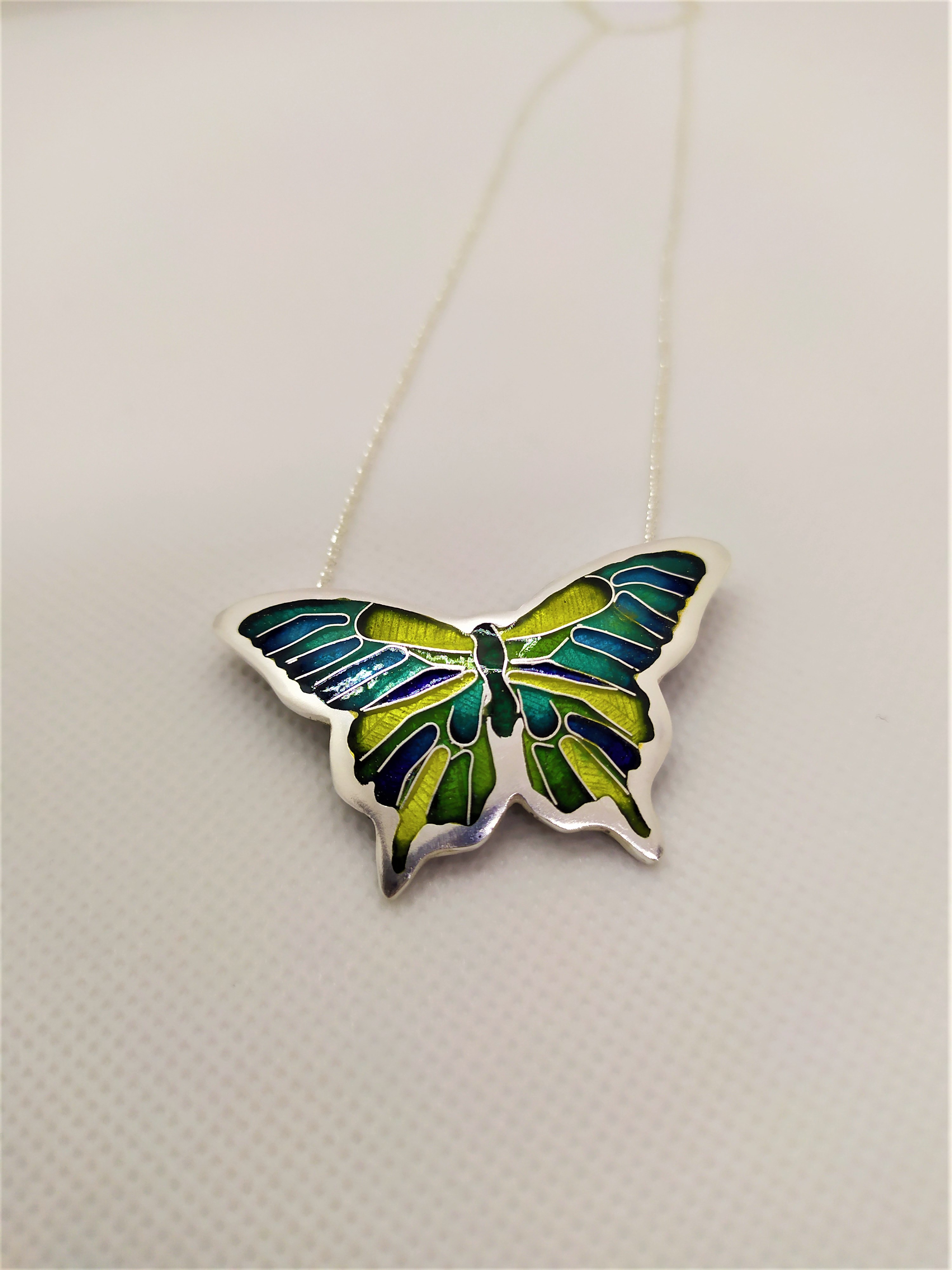Papillon éclatant