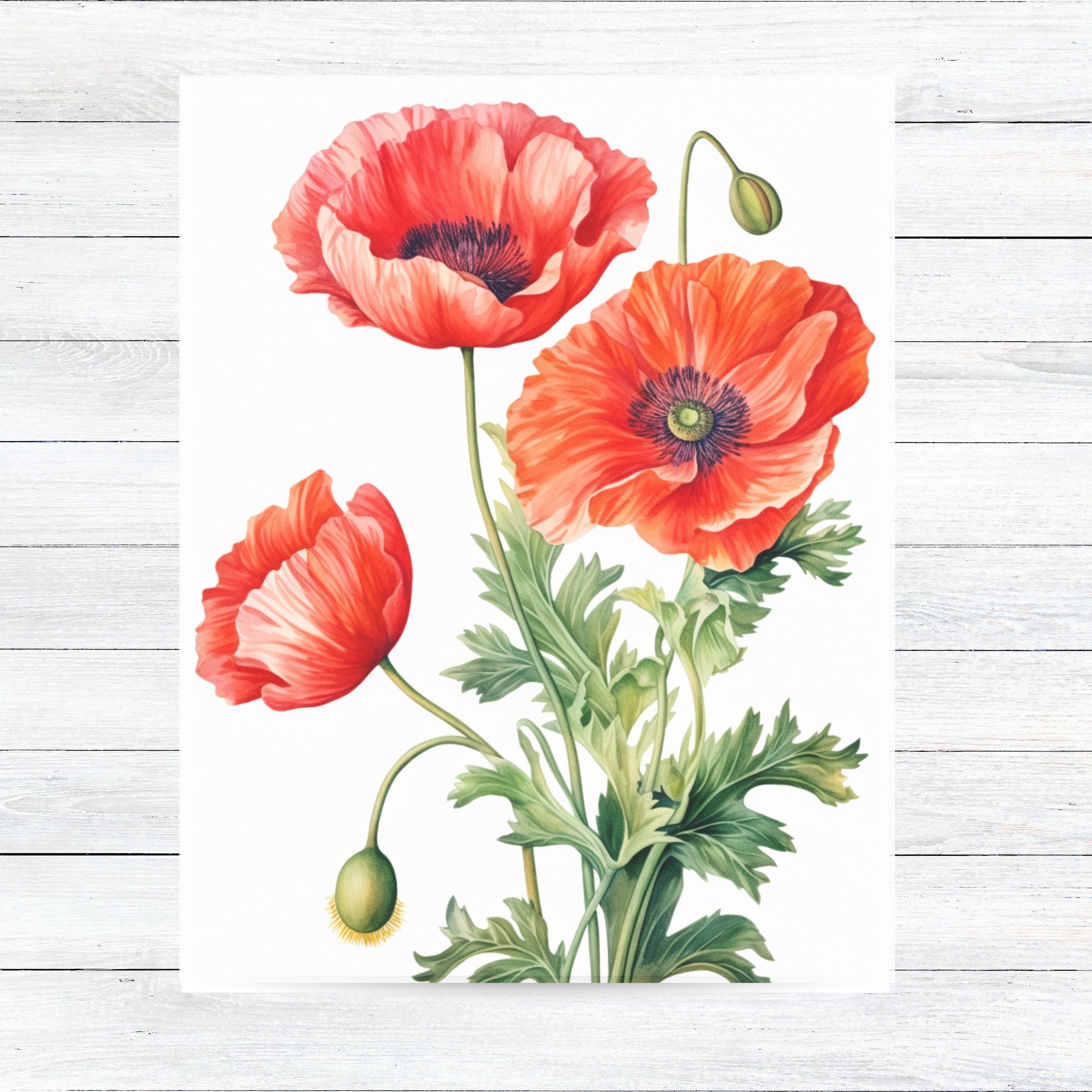 Red Poppies Illustrated Greeting Card, Vivid Red Floral Art, Elegant Botanical All Occasion Cards, Thank You, Invitation, Note Card, Greetings, Birthdays