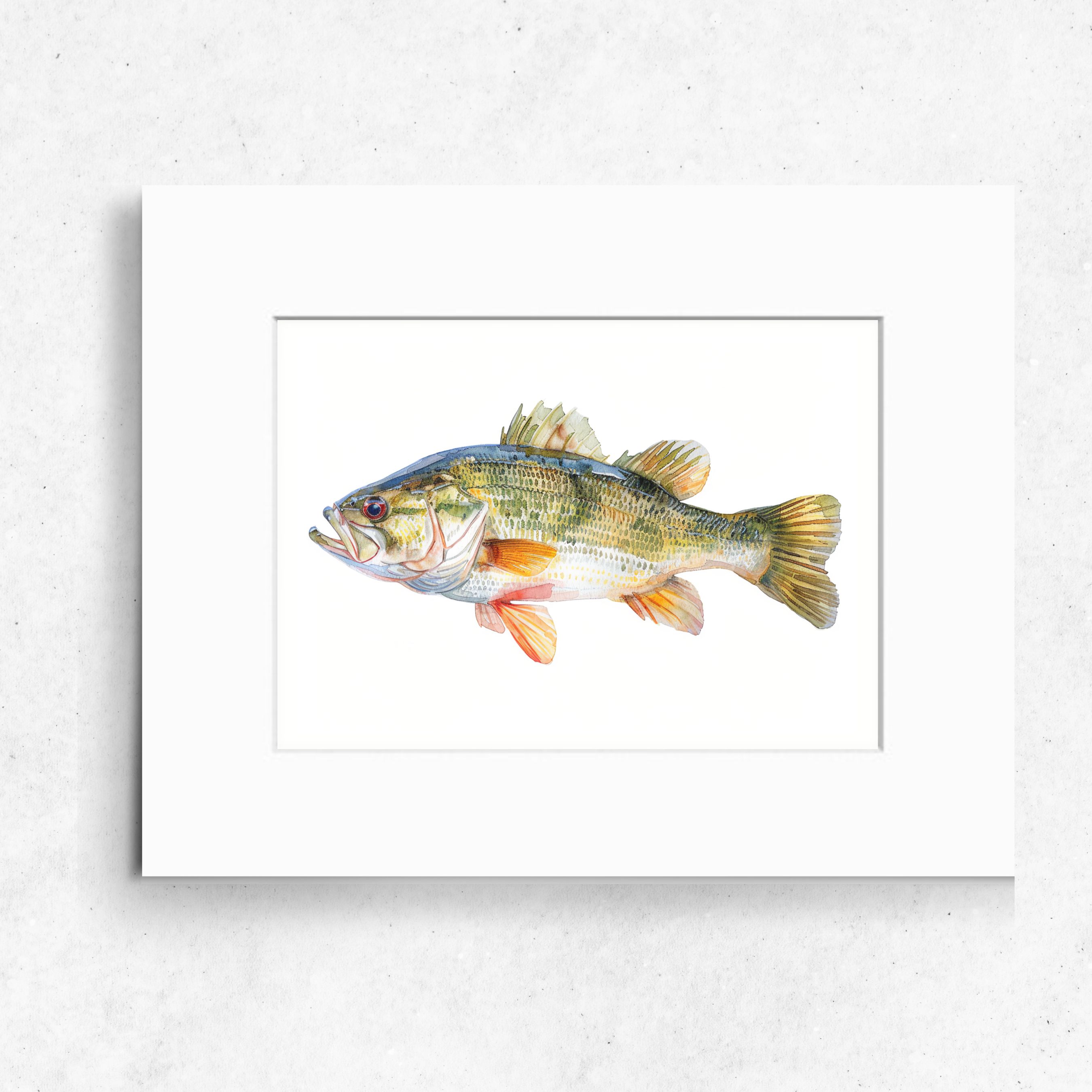 Bass Watercolor Art Print, Freshwater Fish Wall Decor, Fly Fishing Enthusiast Gift, High Quality Art Print, Original Art