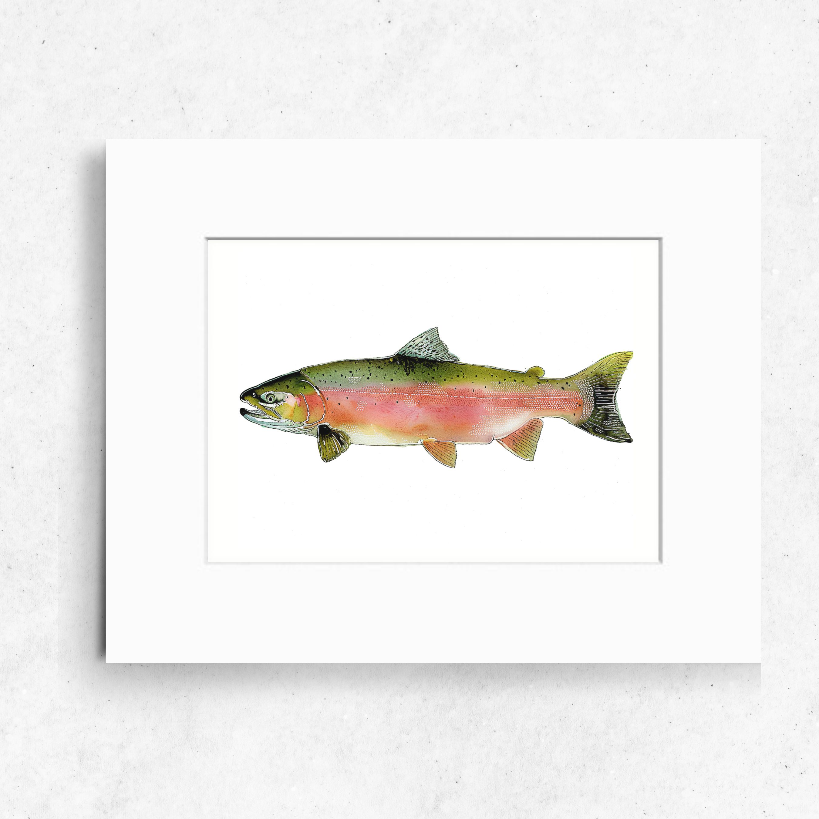 Pink Salmon Art Print, Dynamic Fish Illustration, High Quality Art Print, Watercolor Wildlife Painting, Original Art