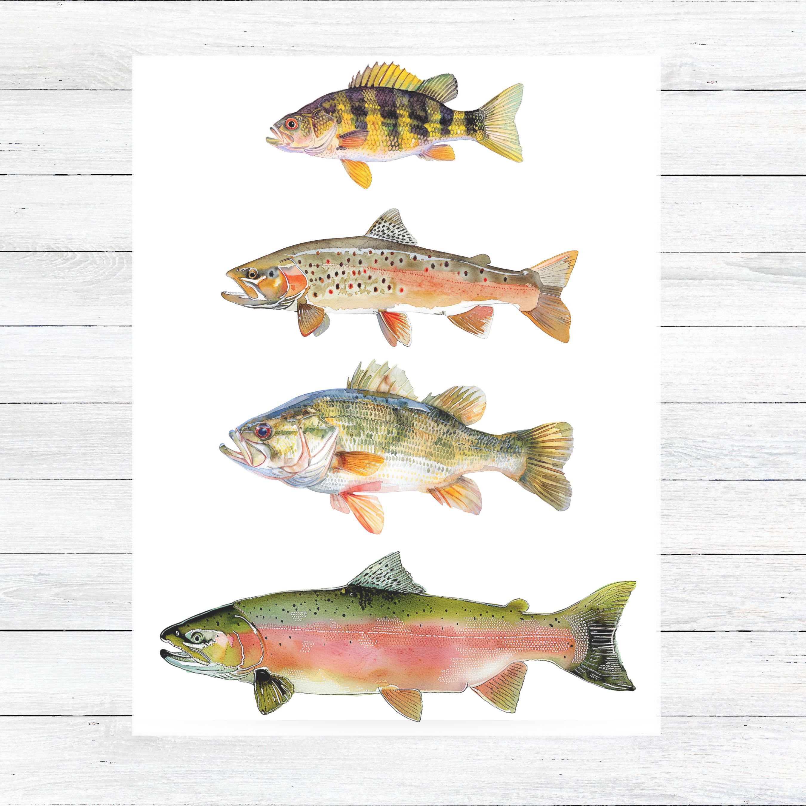 Freshwater Ensemble Watercolor Greeting Card, Yellow Perch, Colorado Cutthroat Trout, Large Mouth Bass, Pink Salmon, Note Card, All Occasion, Birthday Card, Invitations