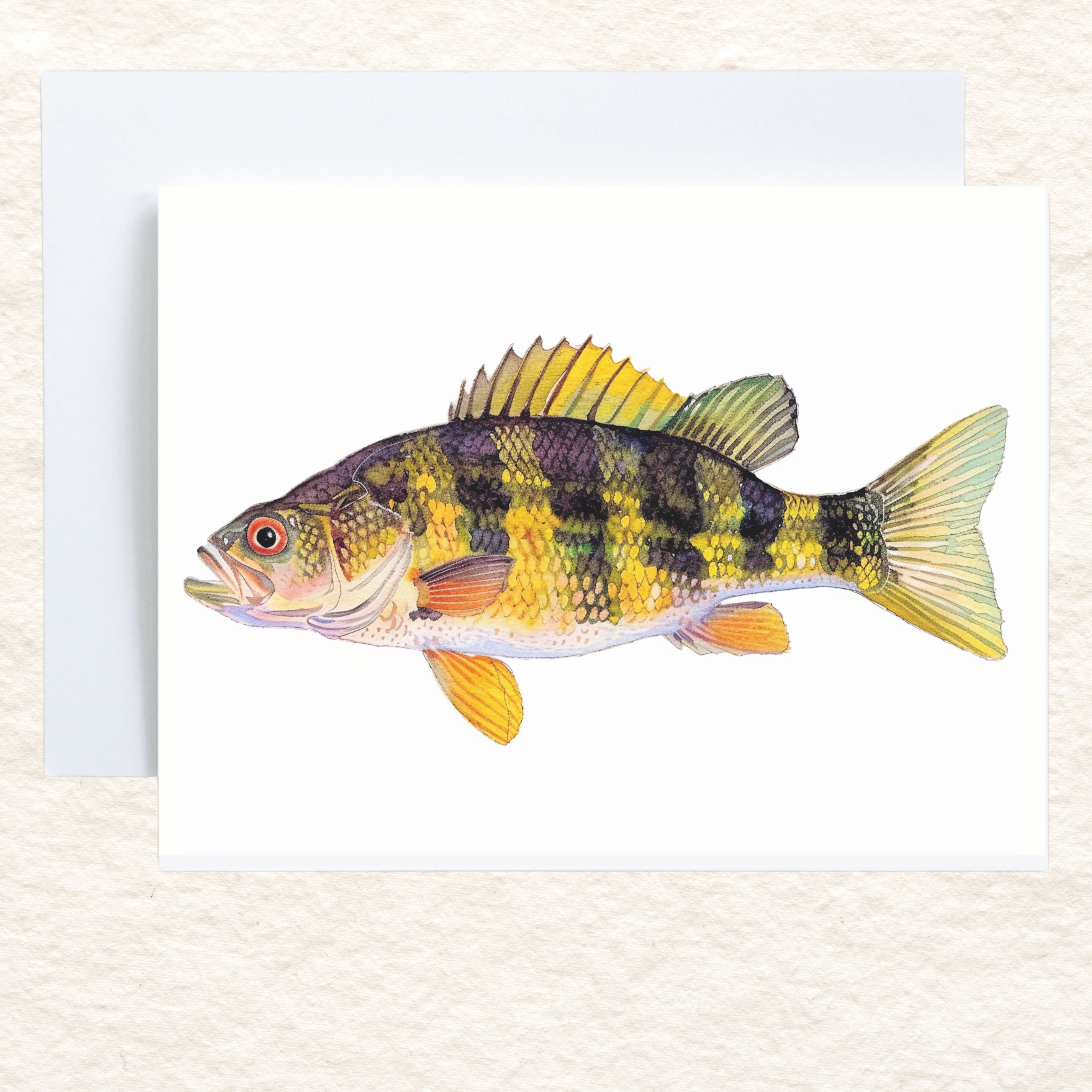 Freshwater Delight Yellow Perch, Vibrant Fish Greeting Card, Perfect for Anglers and Nature Lovers, Note Card, All Occasion, Birthday Card, Invitations