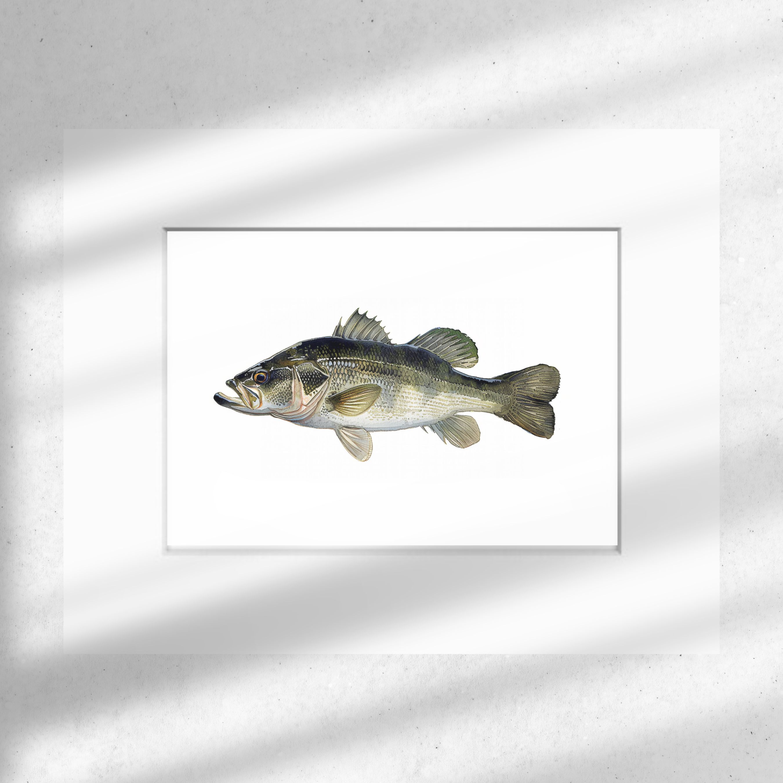 Micropterus Black Bass Watercolor Art Print, Fly Fishing Fish Wall Decor, High Quality Art Print Watercolor Wildlife Painting, Original Art