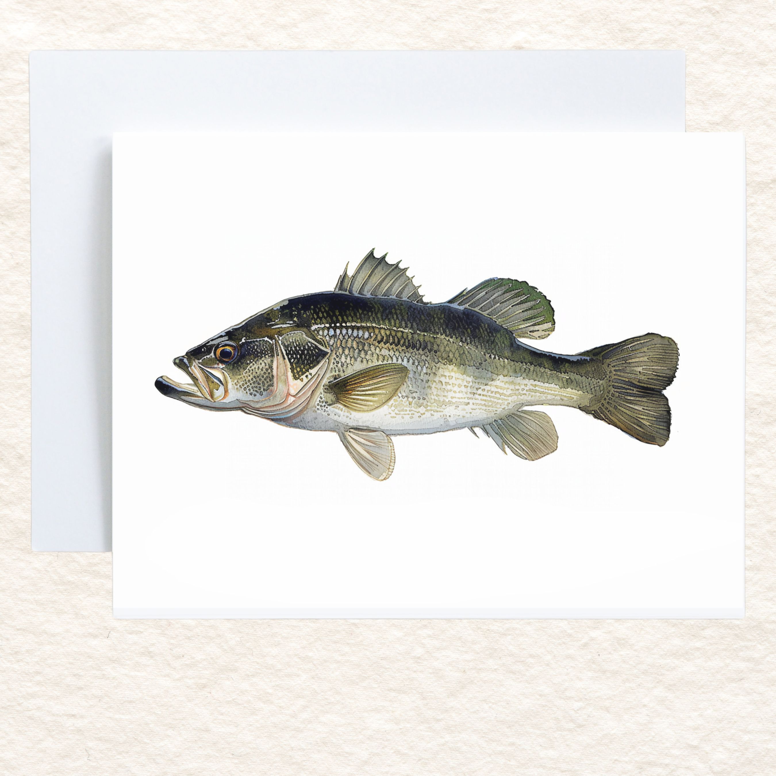 Micropterus Black Bass Watercolor Fly Fishing Fish Greeting Card, Freshwater Fish Art, Angler Gift, Note Card, All Occasion, Birthday Card, Invitations