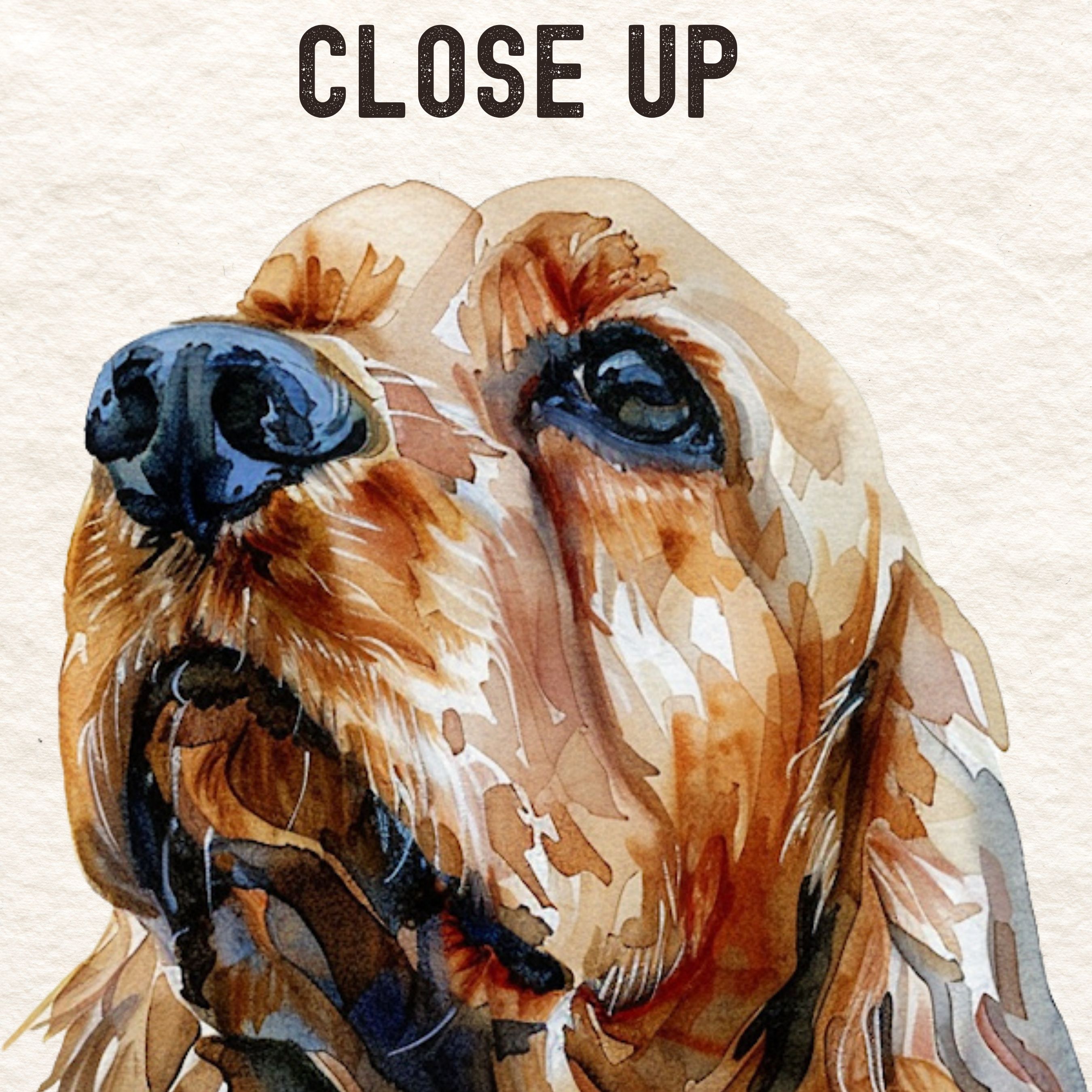 Cocker Spaniel Sit Stay Read Bookmark, Dog Lover’s Bookmark, Watercolor Dog Art, Cute Dog Bookmark, Book Lovers Gift
