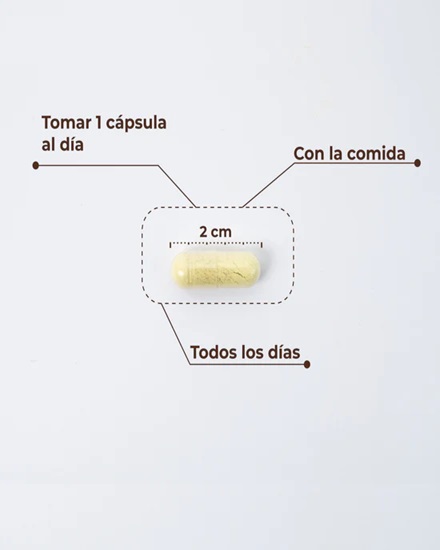 Kobho Trans Resveratrol + Quercetin 60 cápsulas