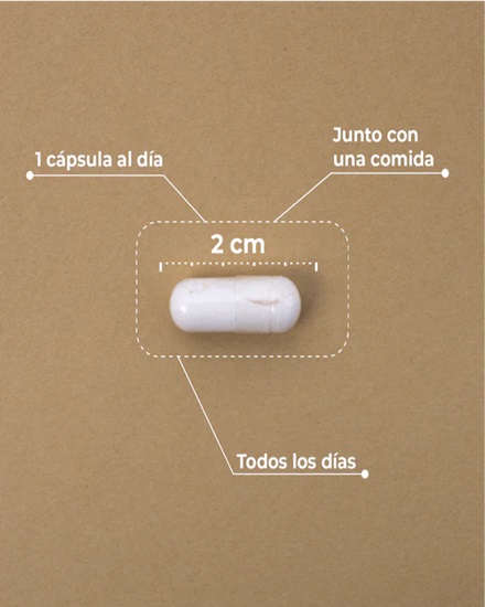 Kobho Liposomal VIT. C con Reishi