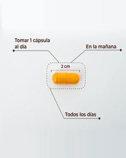 Kobho Curcuma + Black Pepper 60 cápsulas.