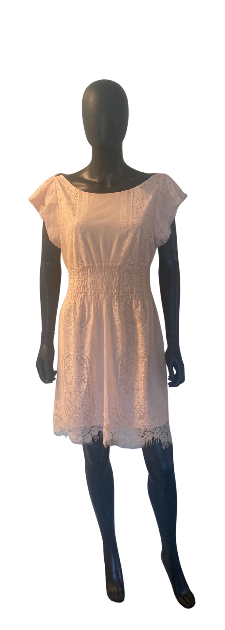XL Light Pink Dress