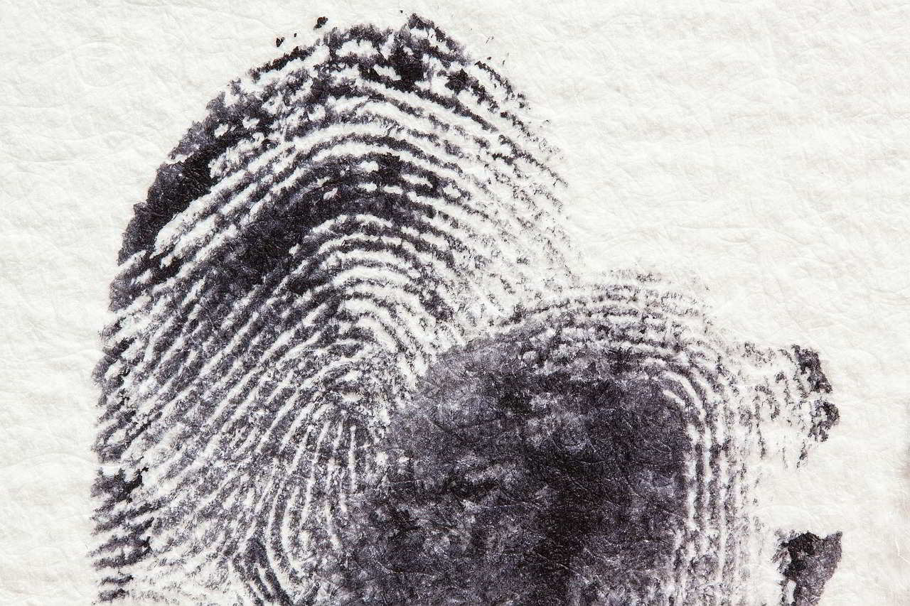 Perito Forense en Criminología