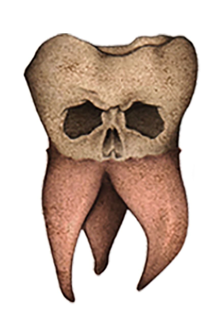  CUCHARA LA MUELA