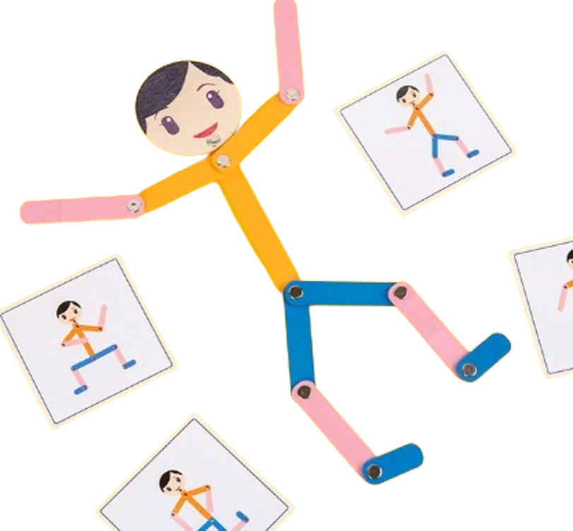 Boneco Pedagógico Articulado Montessori Educativo