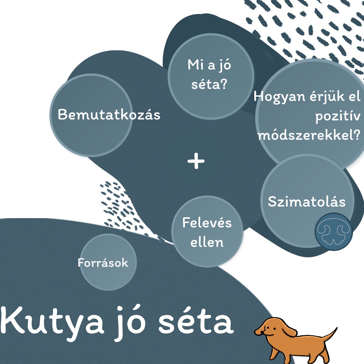 Kutya jó séta webinar felvétel