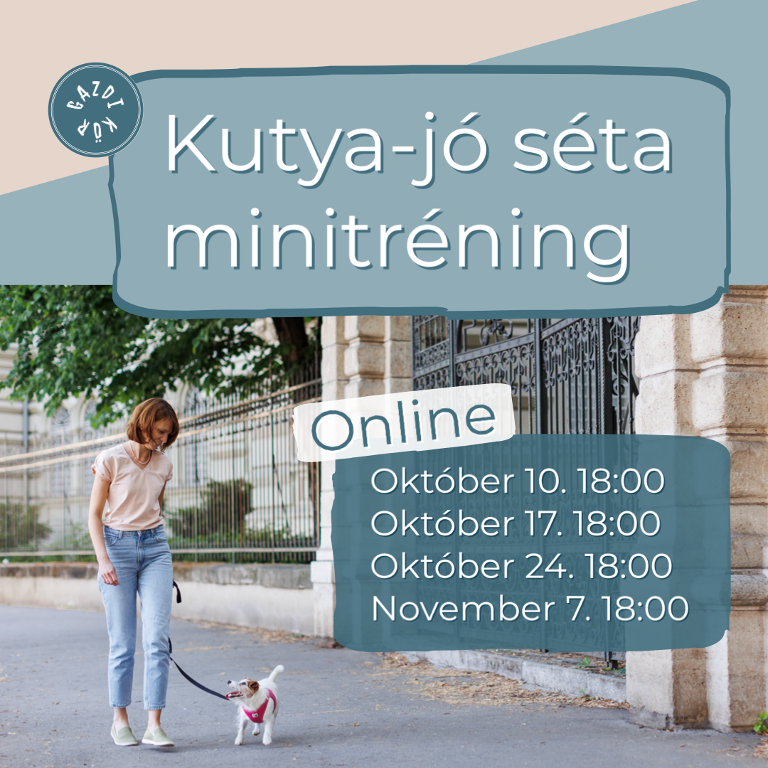 Kutya-jó séta minitréning