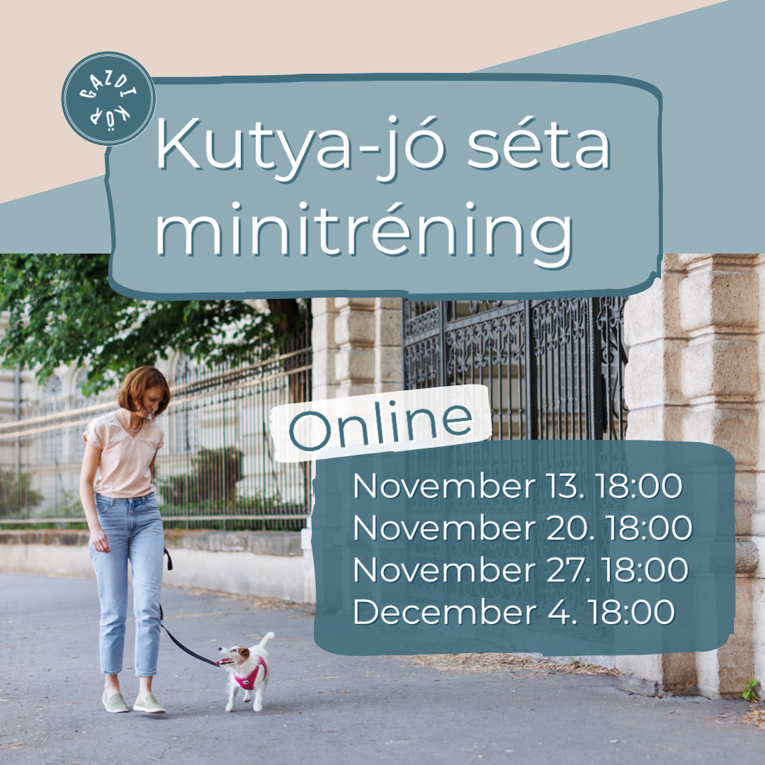Kutya-jó séta minitréning