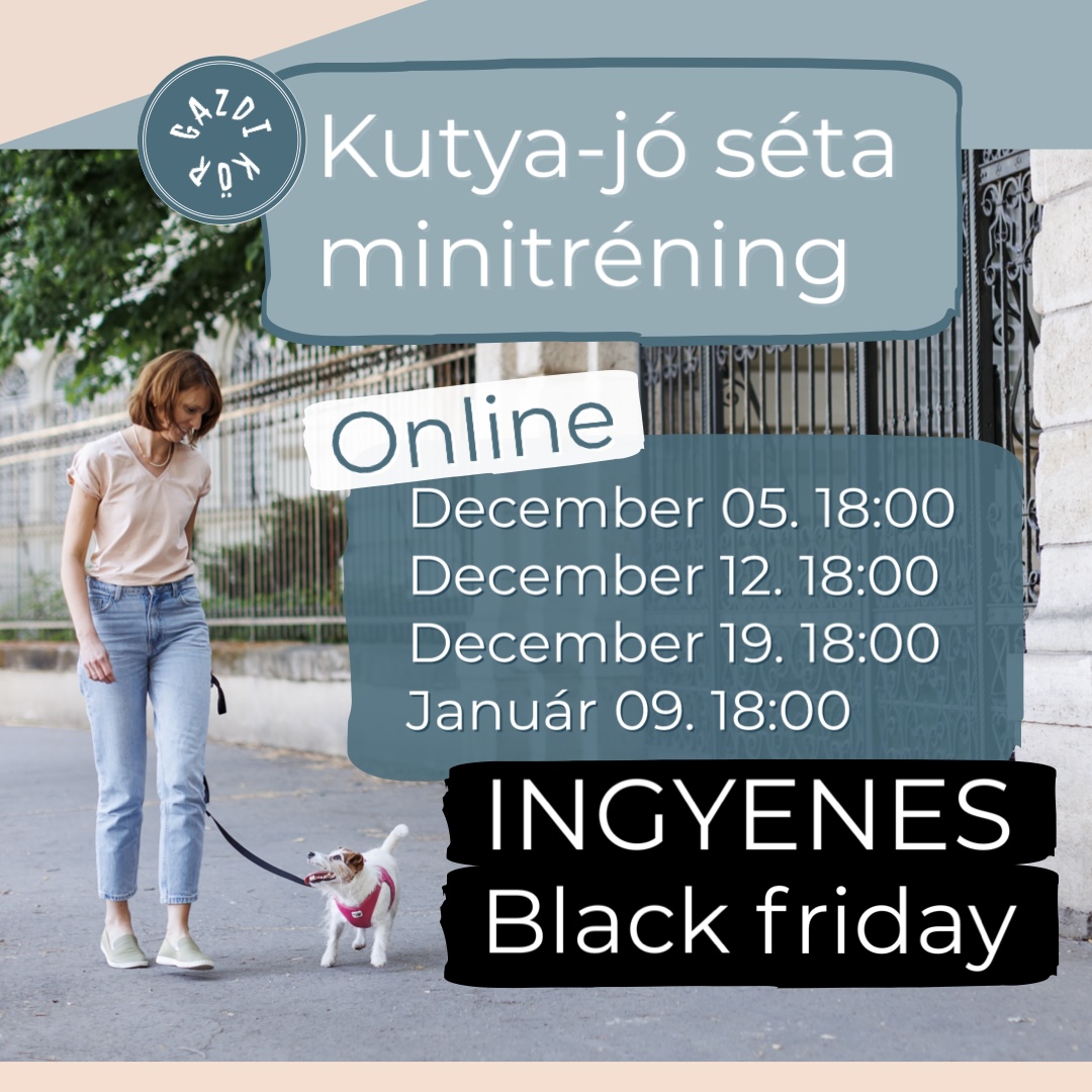 Kutya-jó séta minitréning