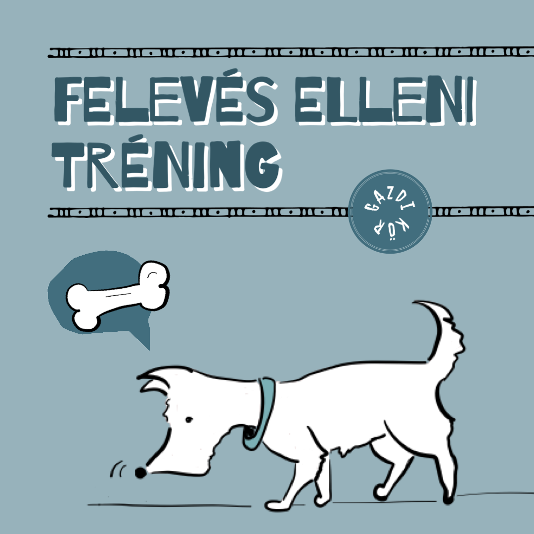 Felevés elleni online tréning 