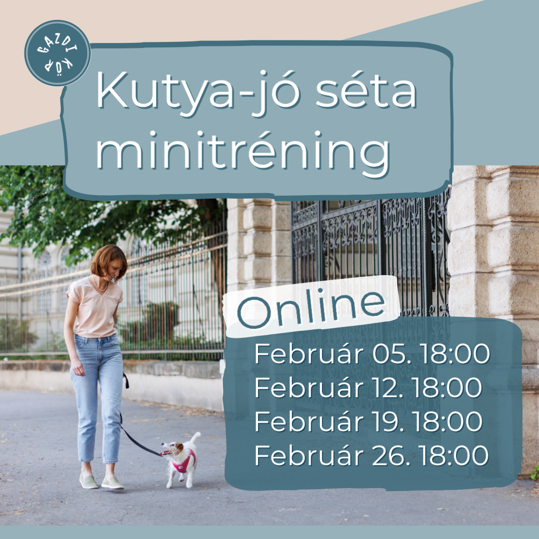 Kutya-jó séta minitréning
