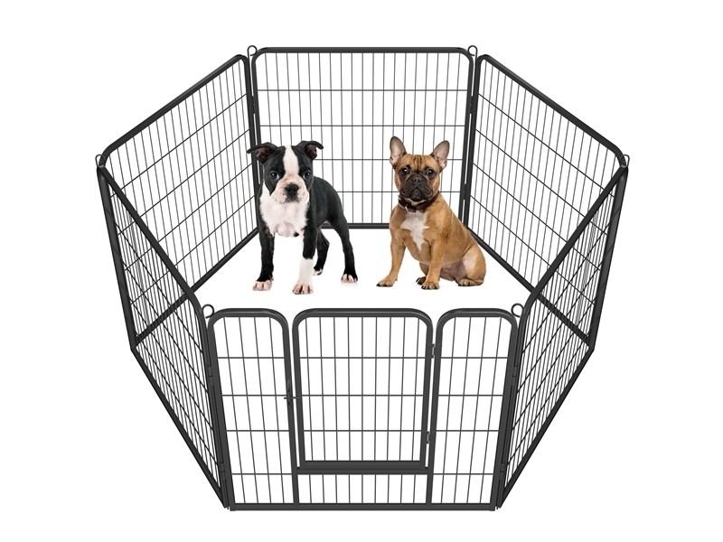 Enclos pour Chiens en  Métal