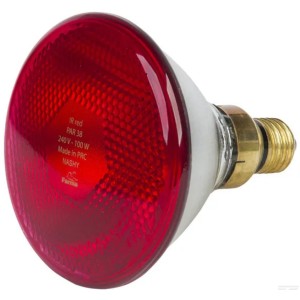 AMPOULE INFRAROUGE