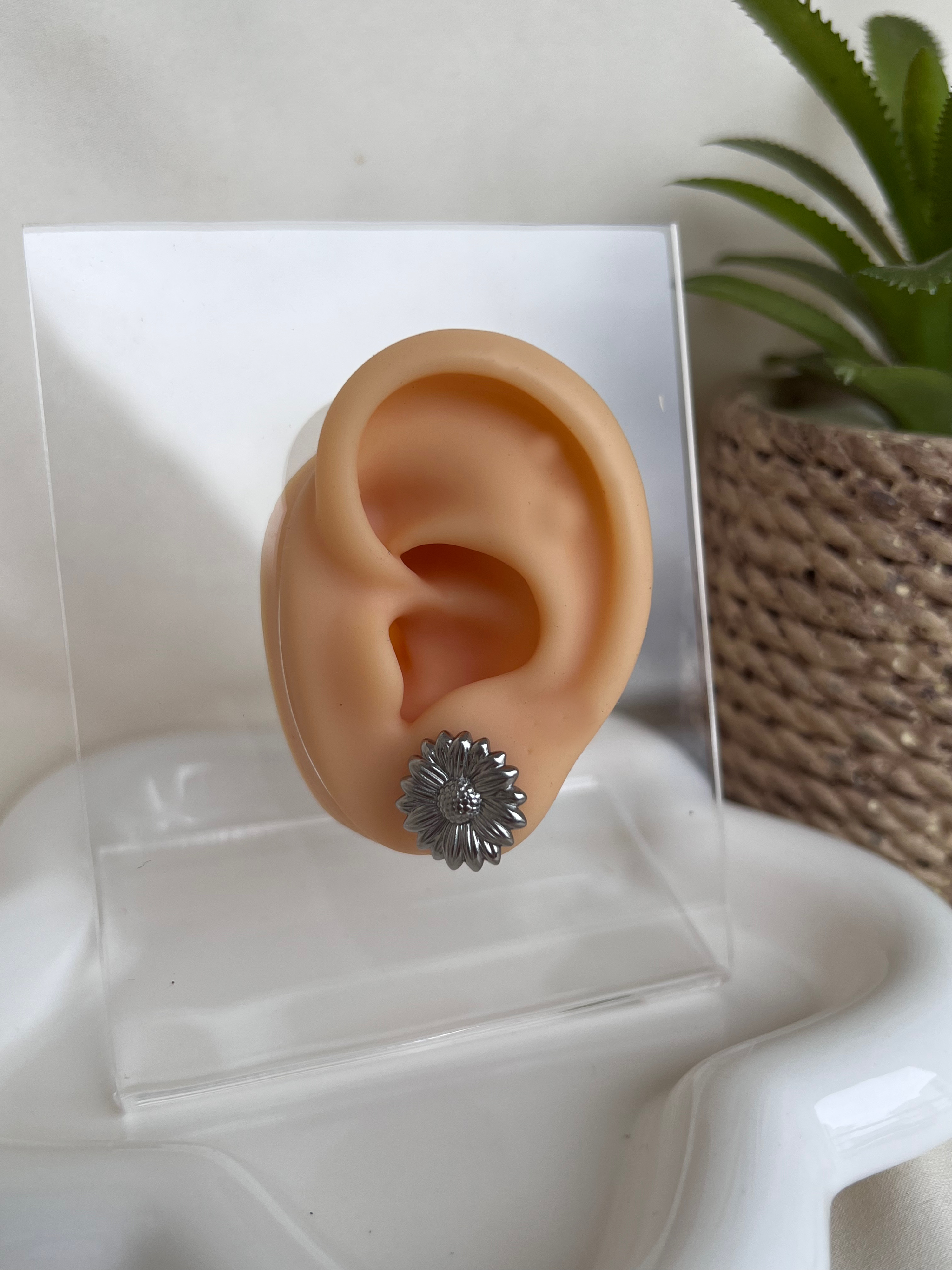 Aretes Renata Plateados