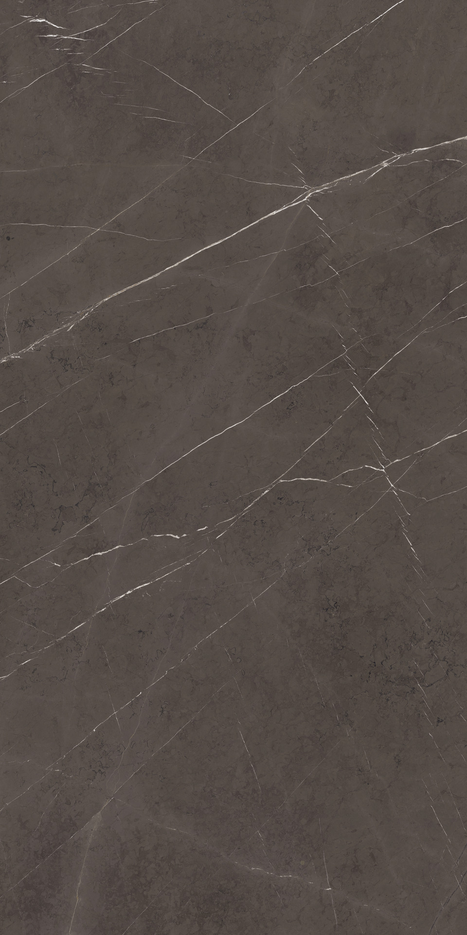 Imperiale | tafelblad ovaal | schuine randafwerking